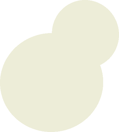 装飾