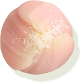 上生菓子